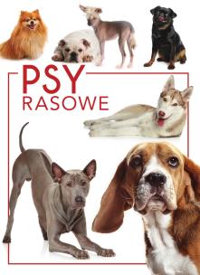 Psy rasowe. Autor: Izabela Przeczek. Multiszop.pl Okładka książki Psy rasowe