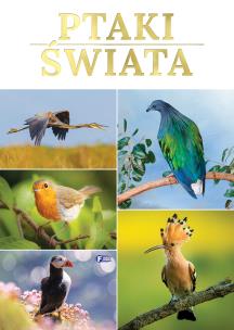 Ptaki świata. Autor: Opracowanie zbiorowe. Multiszop.pl Okładka książki Ptaki świata