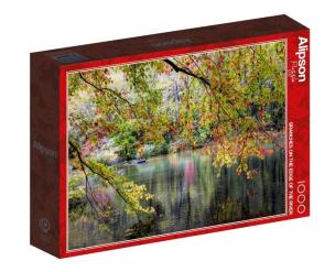 Opakowanie Puzzle 1000 Gałęzie na brzegu rzeki