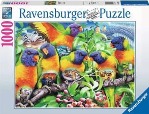 Opakowanie Puzzle 1000 Kraina Lorikeet