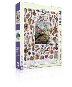 Opakowanie Puzzle 1000 Mięczaki, Collage