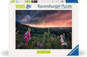 Opakowanie Puzzle 1000 Nadchodzi burza
