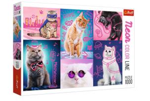 Opakowanie Puzzle 1000 Neon Color Line - Super cats TREFL