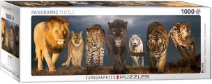 Opakowanie Puzzle 1000 Panoramic Big Cats
