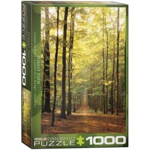 Opakowanie Puzzle 1000 Ścieżka w lesie