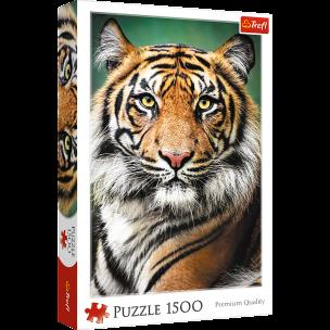 Puzzle 1500 Portret tygrysa 26204. Wydawca: Trefl PAP. Multiszop.pl Opakowanie Puzzle 1500 Portret tygrysa 26204