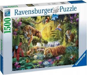 Opakowanie Puzzle 1500 Spokojne tygrysy