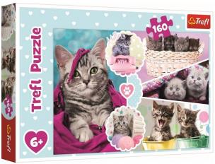 Opakowanie Puzzle 160 Urocze kotki TREFL