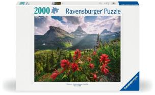 Opakowanie Puzzle 2000 Krajobraz