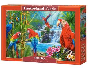 Puzzle 2000 Parrot Meeting CASTOR. Wydawca: Castorland. Multiszop.pl Opakowanie Puzzle 2000 Parrot Meeting CASTOR