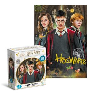 Puzzle 250 Harry Potter i przyjaciele. Wydawca: Dodo. Multiszop.pl Opakowanie Puzzle 250 Harry Potter i przyjaciele