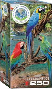 Opakowanie Puzzle 250 Macaws 8251-5588