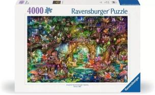 Opakowanie Puzzle 4000 Magiczny świat baśni