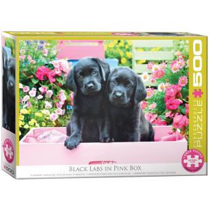 Opakowanie Puzzle 500 Black Labs in Pink Box 6500-5462