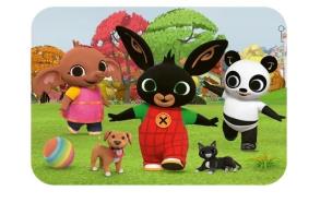 Opakowanie Puzzle drewniane 24 Poznaj Binga TREFL