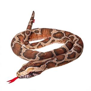 Opakowanie Pyton Birmański 180cm