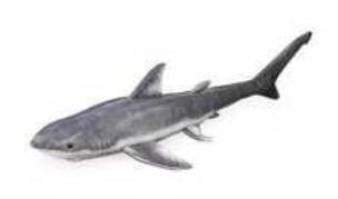 Opakowanie Rekin 130cm