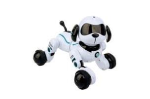 Robopies Twist. Wydawca: Dumel. Multiszop.pl Opakowanie Robopies Twist