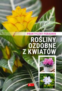 Okładka książki Rośliny ozdobne z kwiatów. Poradnik praktyczny