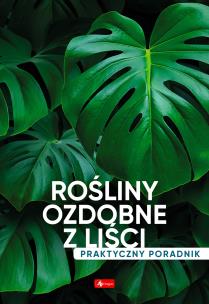 Rośliny ozdobne z liści. Poradnik praktyczny. Autor: Opracowanie zbiorowe. Multiszop.pl Okładka książki Rośliny ozdobne z liści. Poradnik praktyczny