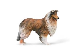 Opakowanie Rough Collie