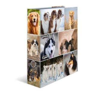 Opakowanie Segregator A4 - Psy