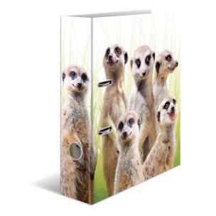 Opakowanie Segregator A4 - Surykatki