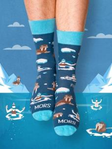 Skarpety Mors 39-42. Autor: Nadwyraz.com. Multiszop.pl Okładka książki Skarpety Mors 39-42