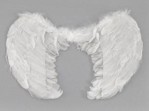 Opakowanie Skrzydełka anioła