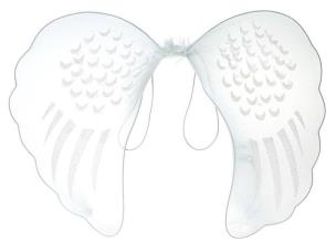 Opakowanie Skrzydełka anioła