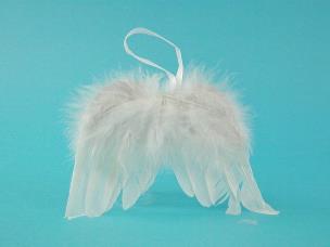 Opakowanie Skrzydełka Anioła