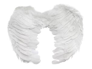 Opakowanie Skrzydełka cherubina