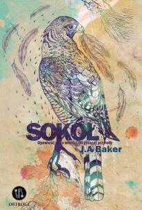 Okładka książki Sokół. Opowieść o miłości do ginącej przyrody