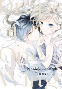 Okładka książki Spadające krople