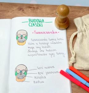 Opakowanie Stempel twarzoczaszka