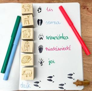 Opakowanie Stemple ślady w lesie