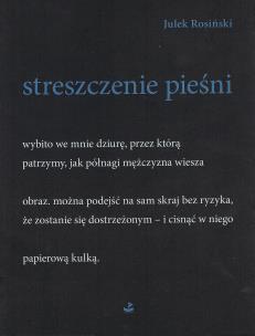Okładka książki Streszczenie pieśni