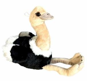 Opakowanie Struś z zawieszką 20cm