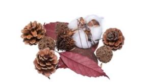 Opakowanie Susz dekoracyjny 30g