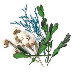 Opakowanie Suszone kwiaty dekoracyjne MIX