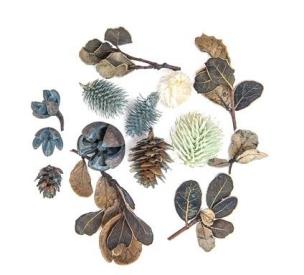 Opakowanie Suszone owoce i liście dekoracyjne 14szt