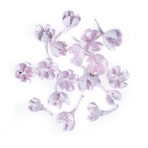 Suszone owoce różowe 10g. Wydawca: DP CRAFT. Multiszop.pl Opakowanie Suszone owoce różowe 10g