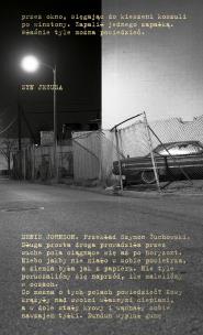 Okładka książki Syn Jezusa