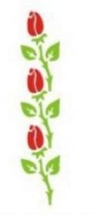 Opakowanie Szablon bordiurowy 6x28cm