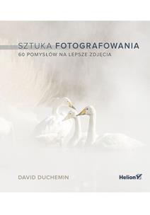 Sztuka fotografowania. 60 pomysłów na lepsze zdjęcia. Autor: DuChemin David. Multiszop.pl Okładka książki Sztuka fotografowania. 60 pomysłów na lepsze zdjęcia