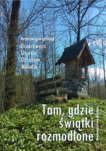Tam, gdzie świątki rozmodlone. Autor:   Praca zbiorowa. Multiszop.pl Okładka książki Tam, gdzie świątki rozmodlone