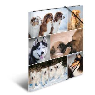 Opakowanie Teczka A4 gumki narożne - Psy