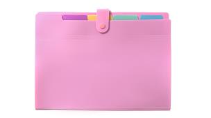 Opakowanie Teczka A4 harmonijkowa PP pastel różowy
