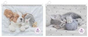 Teczka A4 na suwak The Sweet Pets mix. Wydawca: Beniamin. Multiszop.pl Opakowanie Teczka A4 na suwak The Sweet Pets mix