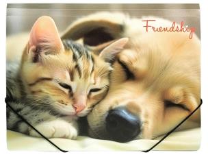 Opakowanie Teczka A4 PP na gumkę z nadrukiem Friendship